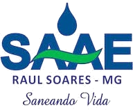 SAAE Raul Soares